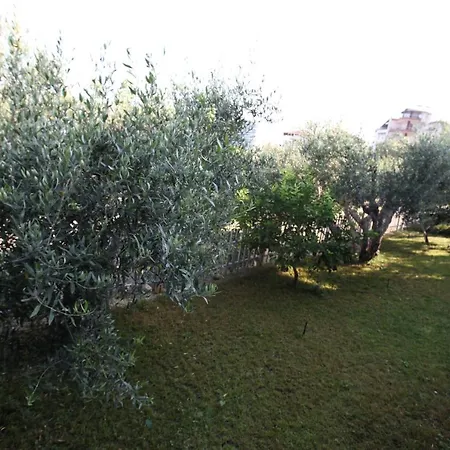 Asidanu Vlorë
